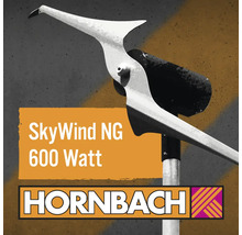 SkyWind NG 600 Watt Windgenerator