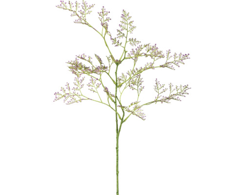 Kunstblume Limonium Höhe: 65 cm lila