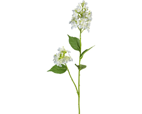 Kunstblume Wildhortensie Höhe: 66 cm weiß