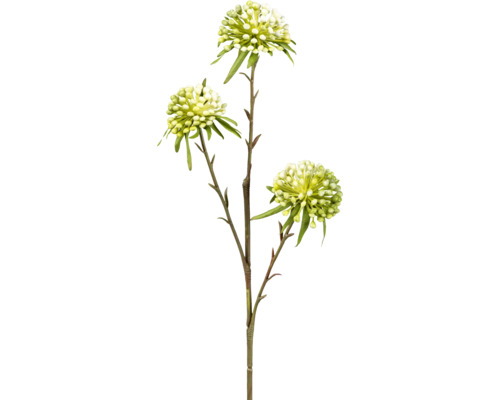 Kunstblume Allium Höhe: 62 cm grün