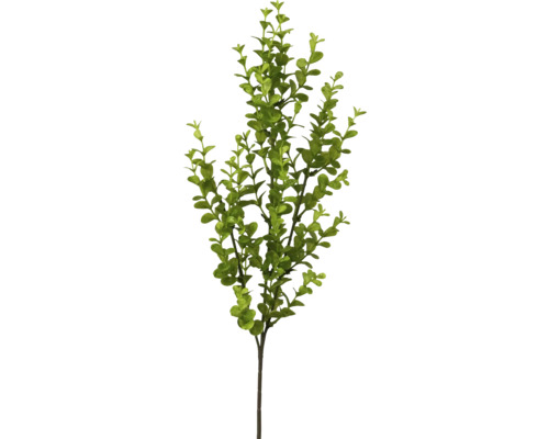 Kunstblume Eukalyptuszweig Höhe: 62 cm grün