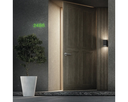 Haustür mit Hausnummer, Außenlampe und Pflanze im Topf