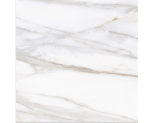 Feinsteinzeug Bodenfliese Mirava Lucca Bianco 60x60 cm gold matt rektifiziert