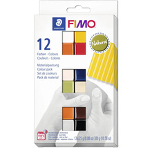Fimo Farben Set mit zwölf Blöcken ofenhärtender Modelliermasse