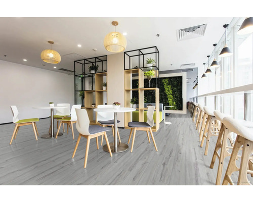 Heller Raum mit Tischen, Stühlen und Regalen mit Pflanzen auf grauem Holzboden