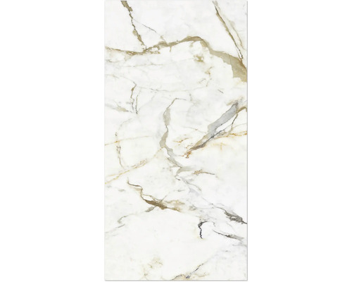 Duschrückwand Rock the Wall 2650x1230x4 mm Marmor Machia Vechia Marmorfliese mit Marmorierung
