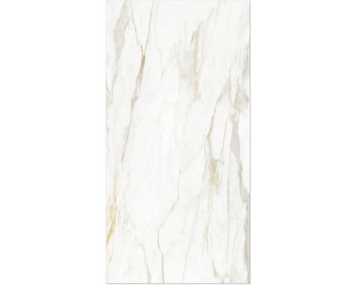 Duschrückwand Rock the Wall 2650x1230x4 mm Marmor Calacatta gold Marmorbeschaffenheit