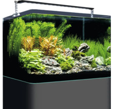 Aquarium mit Wasserpflanzen, Steinen, Kies und Beleuchtung