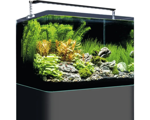 Aquarium mit Wasserpflanzen, Steinen, Kies und Beleuchtung