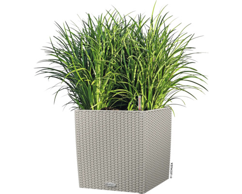 Quadratischer Pflanzkübel mit grünen Pflanzen