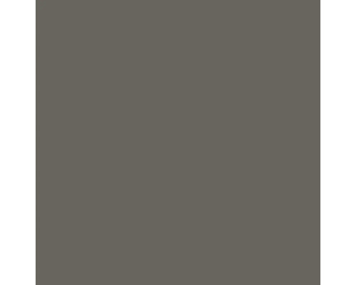 Steingut Wandfliese Color 19,8x19,8 cm grau glänzend