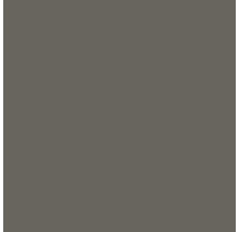 Steinzeug Bodenfliese Color 19,8x19,8 cm grau matt-thumb-0