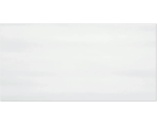 Steingut Wandfliese Cleo helllgrau 59,8x29,8 cm hellgrau matt meliert Einfarbiger Hintergrund