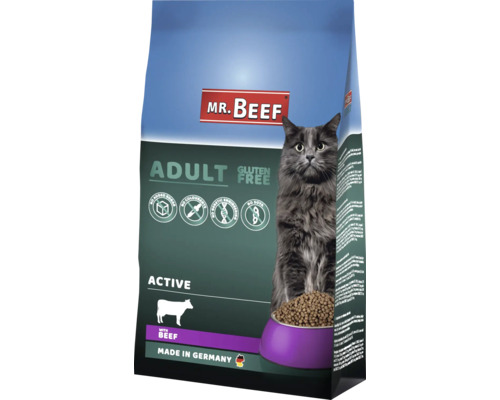 Katzenfutter trocken MR.BEEF Premium Activ Rind 3 kg Mr. Beef Trockenfutter Adult Active mit Rind für Katzen