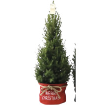 Künstlicher Weihnachtsbaum im Topf mit der Aufschrift 'Frohe Weihnachten'