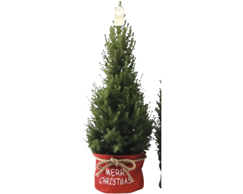 Künstlicher Weihnachtsbaum im Topf mit der Aufschrift 'Frohe Weihnachten'