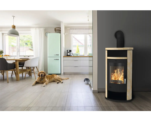 Wohnraum mit Kaminofen, Retro-Kühlschrank und Golden Retriever