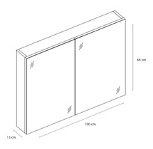 Skizze eines Spiegelschrankes mit den Maßen 100 x 66 x 13 Zentimeter.