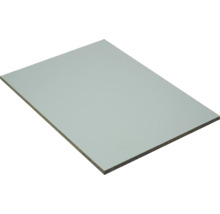 Kompaktplatte Platte melaminharzbeschichtet hellgrau 2800 x 1300 x 8 mm