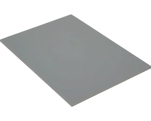 Kompaktplatte Platte melaminharzbeschichtet grau 1200 x 600 x 3 mm Kunststoffplatte