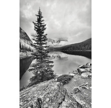 Schwarzweißfotografie eines Bergsees mit Tannenbaum im Vordergrund