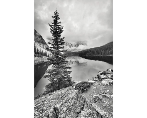 Schwarzweißfotografie eines Bergsees mit Tannenbaum im Vordergrund
