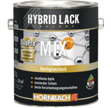 HORNBACH Hybrid Lack glänzend im Wunschfarbton mischen lassen-thumb-1
