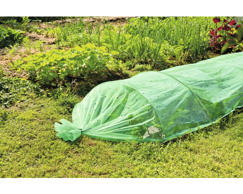 Gartenszene mit einem Mini-Gewächshaus zum Schutz von Pflanzen