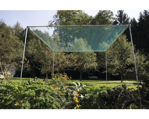 Gemüsegarten mit Schutznetz vor Bäumen