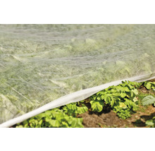 Garten mit Pflanzen unter einem Pflanzenschutzvlies