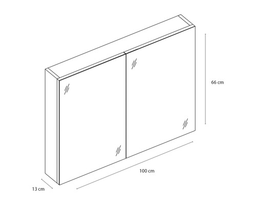 Schrank mit Spiegeltüren und Maßangaben 100 cm x 66 cm x 13 cm