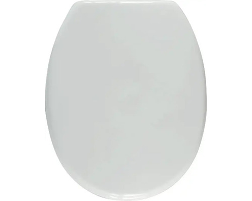 Toilettendeckel aus Kunststoff