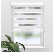 Fenster mit einem Duo Rollo zur Lichtregulierung