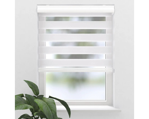 Fenster mit einem Duo Rollo zur Lichtregulierung