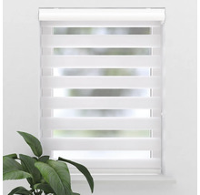 Fenster mit montiertem weißen Doppelrollo zur Fensterdekoration