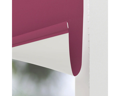 Rollo für Fenster, Sichtschutz