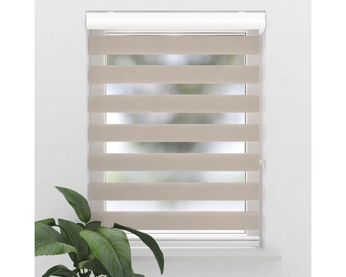 Fenster mit beigefarbenem Doppelrollo für Wohnraumgestaltung