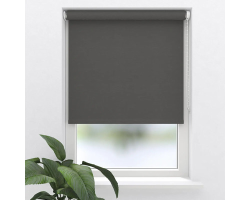 Soluna Verdunkelungsrollo grau uni D16 140x190 cm Soluna Verdunkelungsrollo grau uni D16 140x190 cm