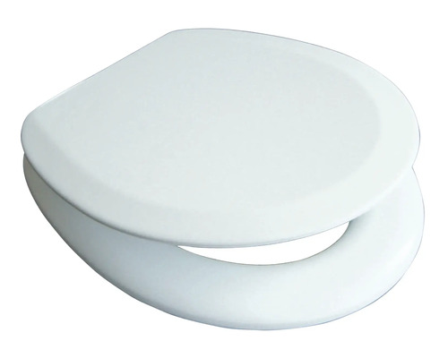Toilettendeckel