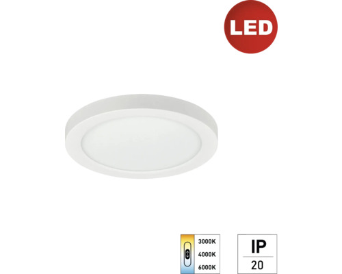 LED Panel Deckenleuchte e2 space², 12 W 1-flammig IP 20, weiß ( 2427500120196 )
