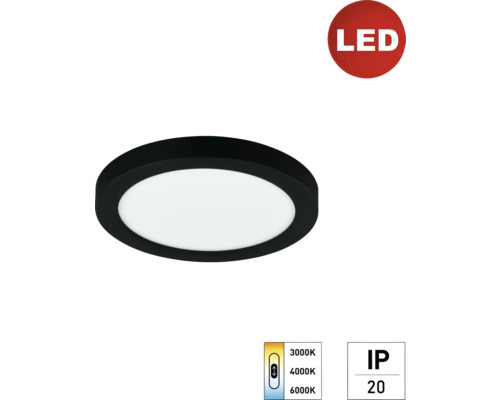 LED Panel Deckenleuchte e2 space², 12 W 1-flammig IP 20, schwarz ( 2427500121996 )