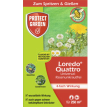 Loredo Quattro Universal Rasenunkrautfrei zur Unkrautbekämpfung