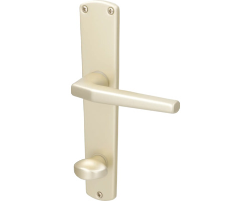 Beschlagset WC+ Bad Riegel Langschild Alpertec Phil Aluminium F2 silber neu eloxiert Türgriffgarnitur mit Langschild für Innentüren