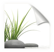 Dekoratives Wandbild mit Gras und Steinen