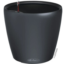 Schwarzer Lechuza Blumentopf mit Bewässerungssystem