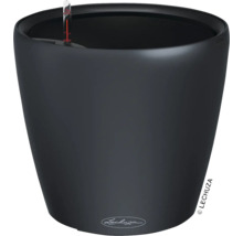 Schwarzer Pflanztopf mit Wasserstandsanzeige