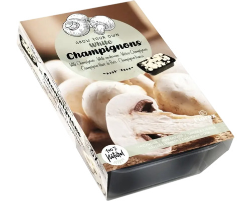Pilz-Anzuchtset Weiße Champignons 750 g