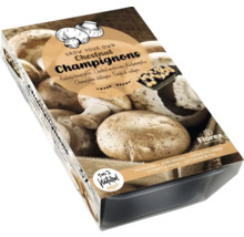 Kastanienchampignons Zuchtset