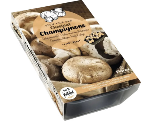 Pilz-Anzuchtset Braune Champignons 750 g
