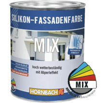 HORNBACH Silikon Fassadenfarbe im Wunschfarbton mischen lassen 1 l Basis A-thumb-0
